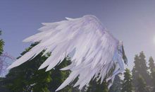 假如我有一双自由飞翔的翅膀