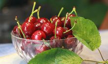 人间四月天作文