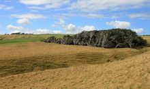 森林中奇怪的声音