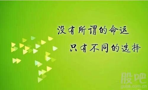 这是我的选择