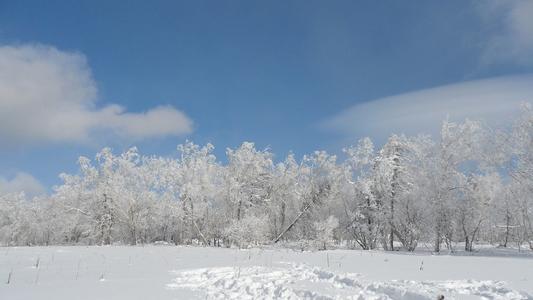 美丽的雪花组成