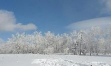 美丽的雪花作文