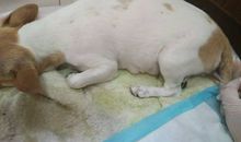 我家的那张照片