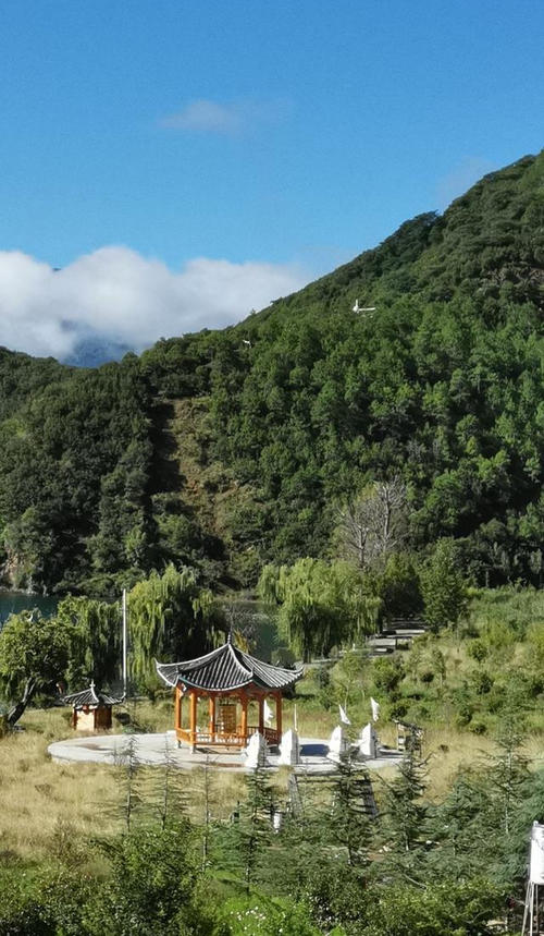 不溶键
