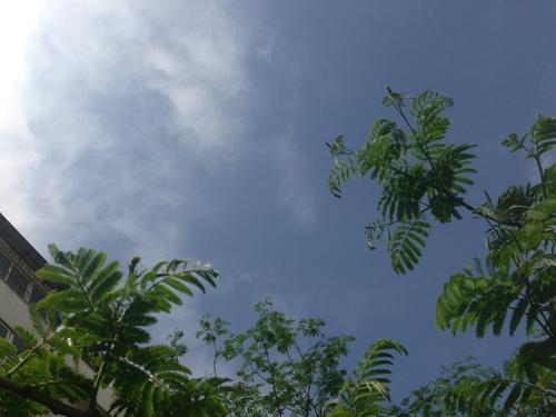 我要去闲散的生活