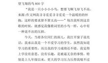 我想飞得更高作文