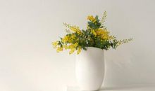 一点温暖一点美