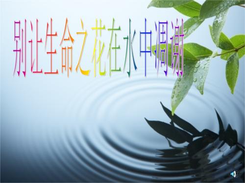 不要让生活流动