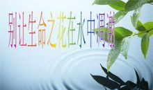 别让生命之花调谢