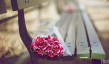 时光流年故乡安然