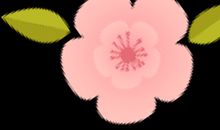 适合的便是最好的