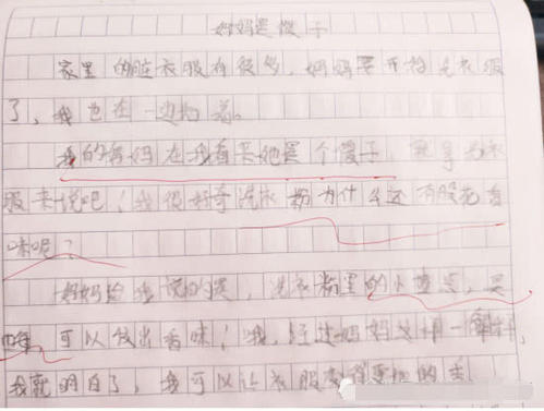 与解密的家庭成分