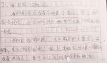 以解密为题的亲情作文