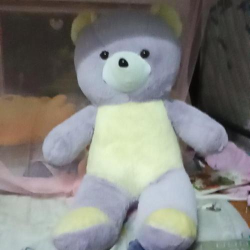 我的小棕熊