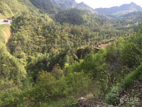 美丽的水井山