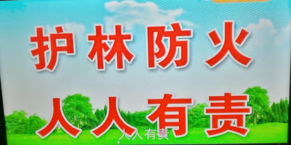保护环境，你有我