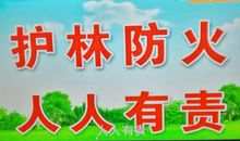 保护环境有你有我