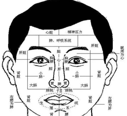 我的五种感官