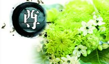 让尊师之花开得更鲜艳