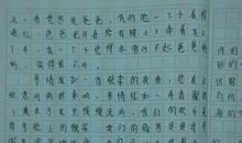 照片里的故事初中作文