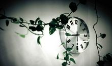 《浅尝时光》诗歌