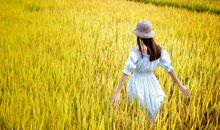 找到自己的舞台