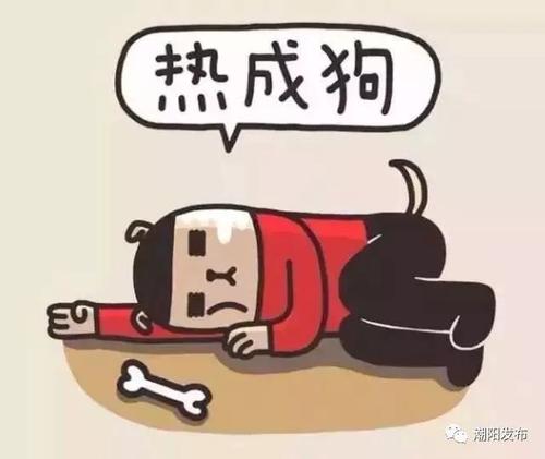 妈妈带我在雨中
