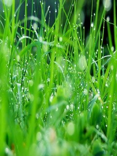 公共汽车上的一堂课