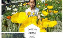 面对顽强生命我流泪了