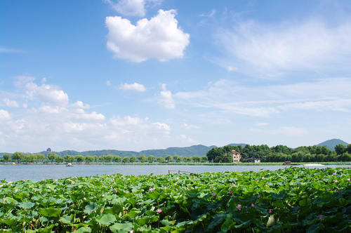 夏季西湖