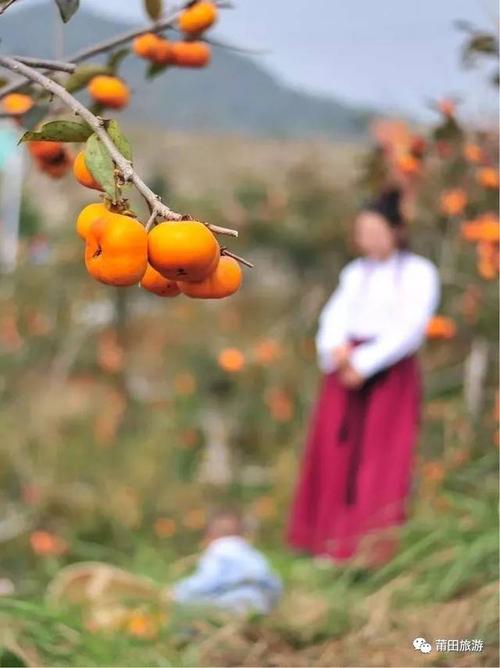 多年的水果