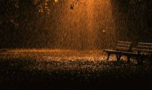 雨中的那道身影