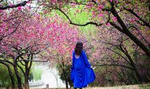 难忘那一缕幽香