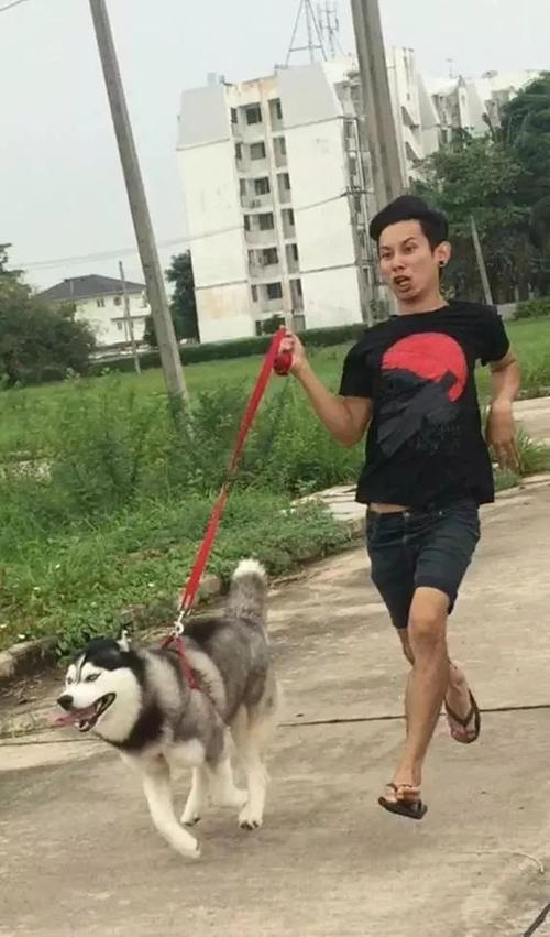 让我们陪伴