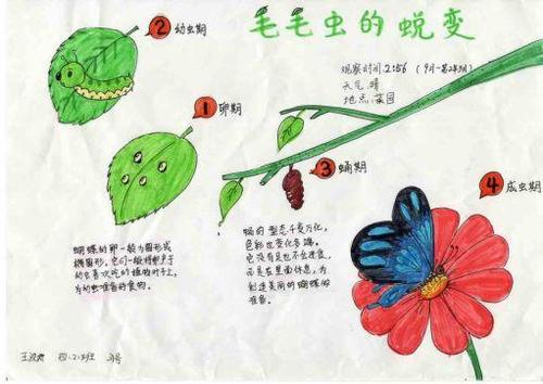 颜色秘密
