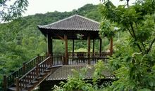 美丽的鹿鸣山公园