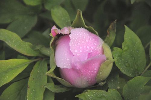 那个季节包含季节