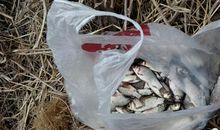 让阳光走进心灵