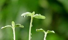 春天让我遇到你