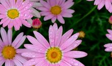 爱深藏在心底作文