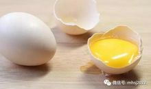 鸡蛋变银蛋的实验作文