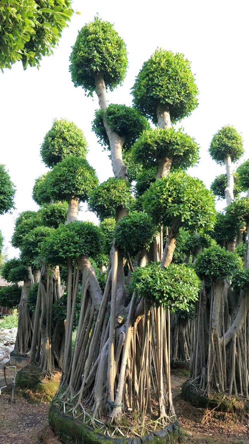 我在我眼里