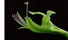 感谢晴天盛装莅临我的青春