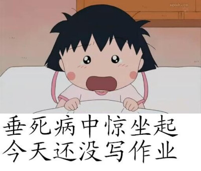 啊，忘了做作业