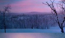 永远忘不了的爱