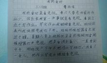 爸爸的爱好作文300字