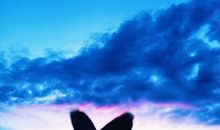 晚霞也有蓝色的