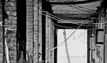 滋养心田的泪水