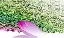 生活，其实很美