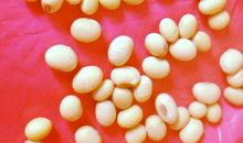 寸草之心难报春晖